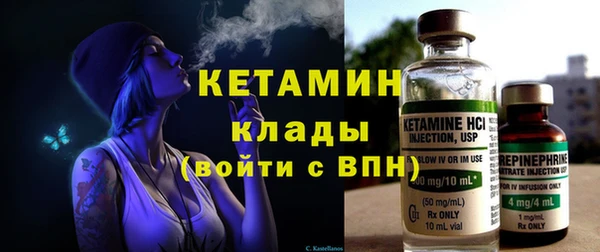 шишки Арсеньев