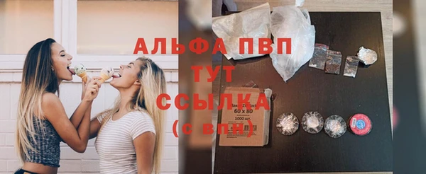 шишки Арсеньев