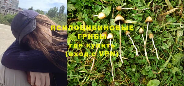 mdpv Белокуриха