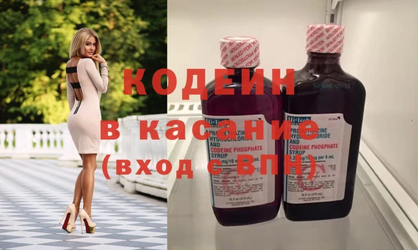 шишки Арсеньев