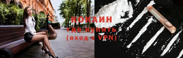 шишки Арсеньев